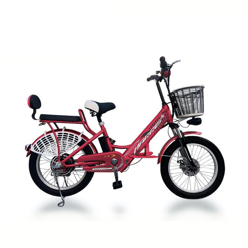 Bicicleta electrica